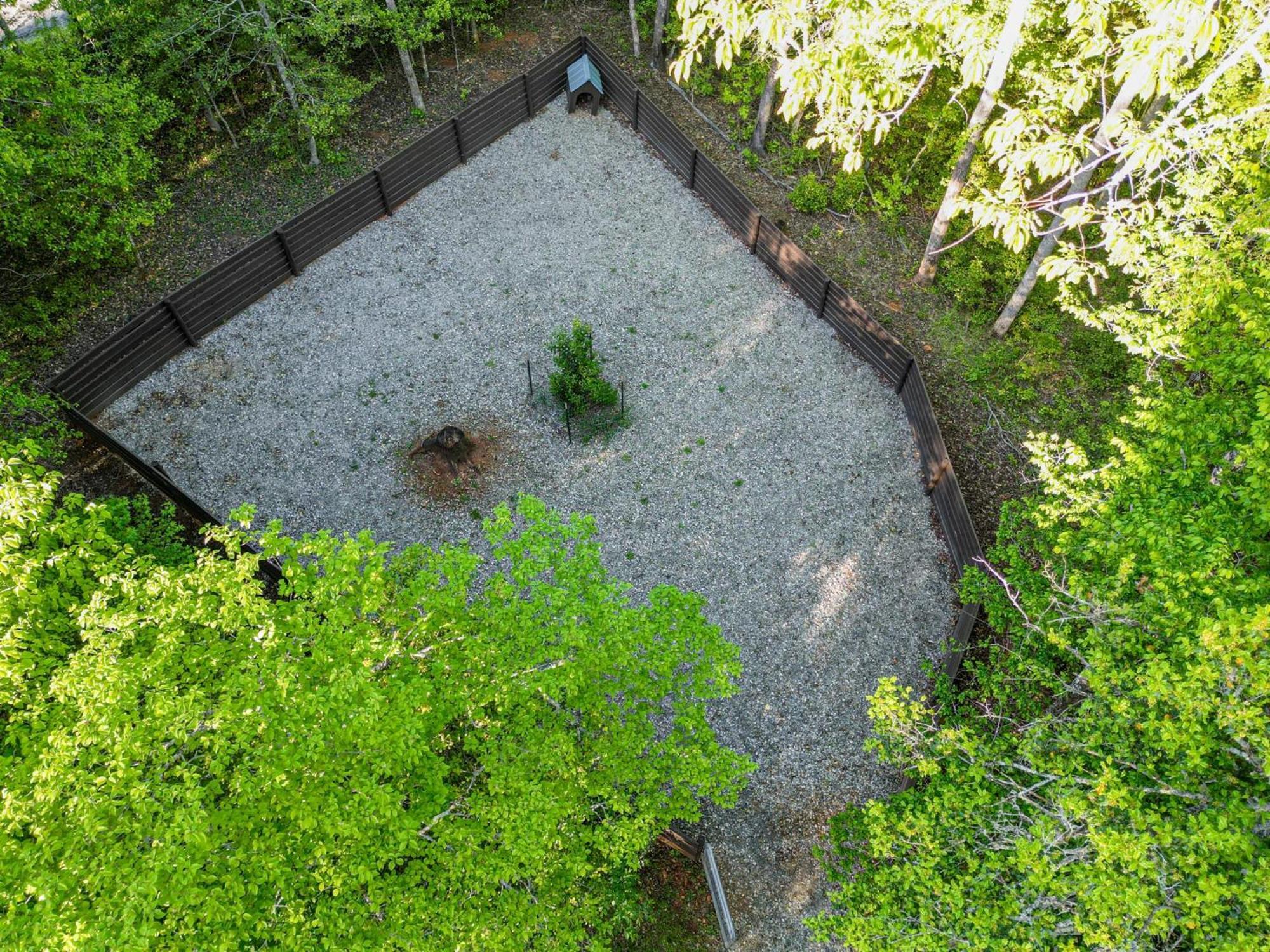 The Big Little Cabin - Hot Tub & Playground Dahlonega Exteriér fotografie